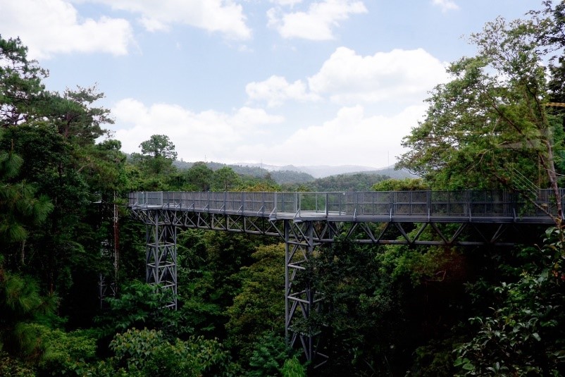 Chiang Mai, Thailand